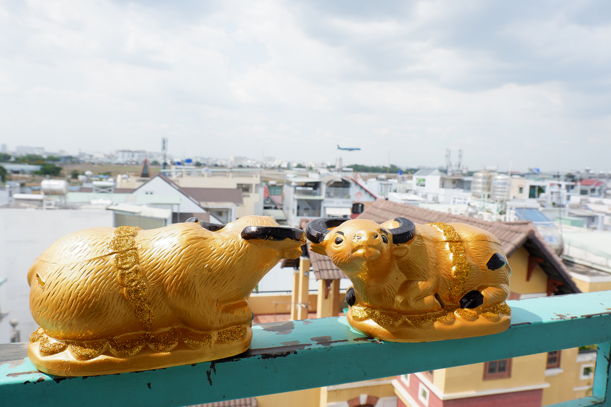 Trâu Vàng Tiết Kiệm - Trâu Đất Vàng Kim