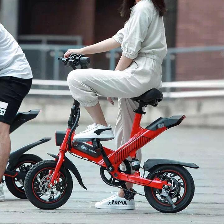Mua Xe Điệp Gấp Đa Năng, Xe Đạp Gấp Bỏ Vừa Ô tô, Xe Đạp Điện