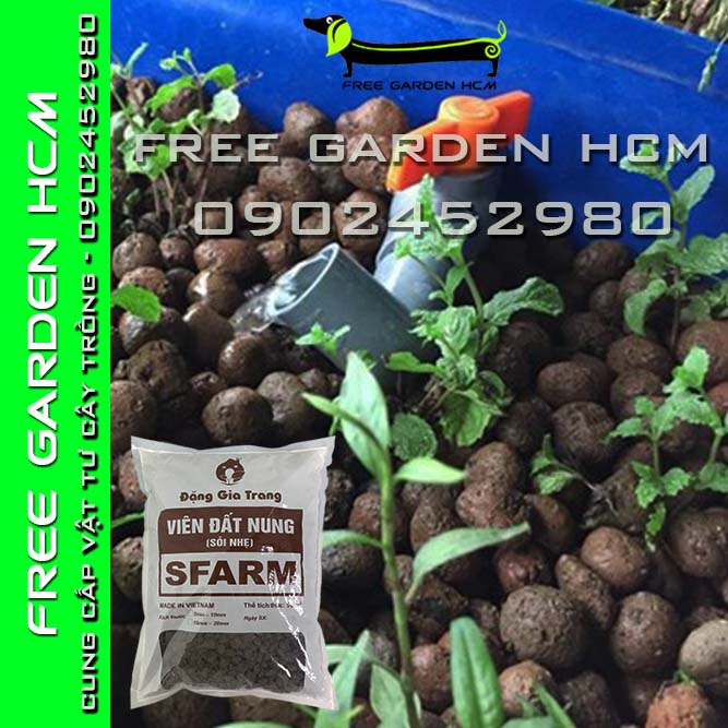GÓI 5dm3 (3kg) ĐẤT NUNG SFARM/ SỎI NHẸ