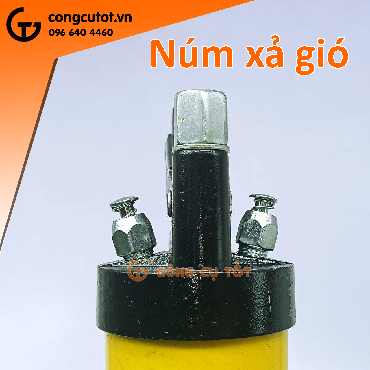 Bơm mỡ bằng tay - Bơm mỡ bò 600cc, 900cc