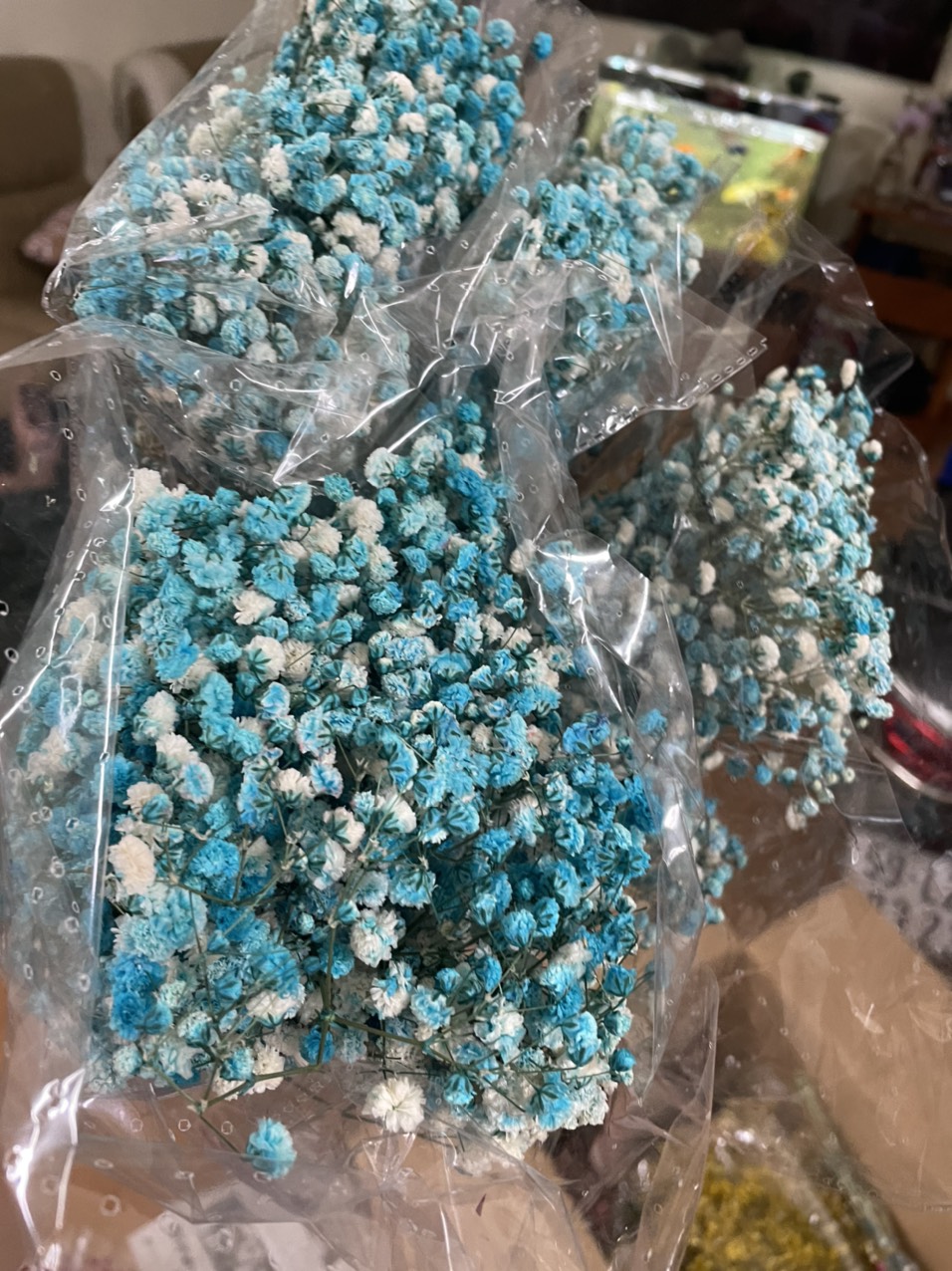 [HCM]HOA BABY KHÔ Bó 100g