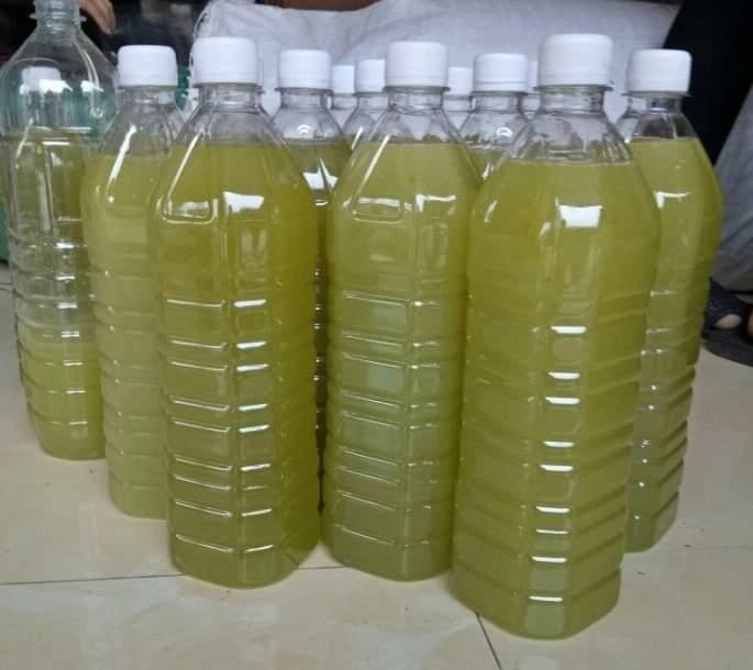 Mật Ong Bạc Hà 1l