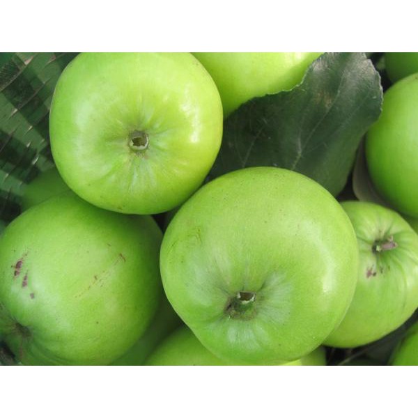 Cây Táo T5 Giống Mới