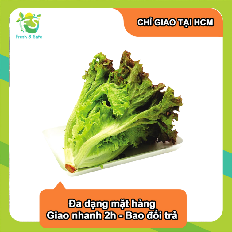 [Chỉ Giao HCM] Xà Lách Lolo Tím - 300g