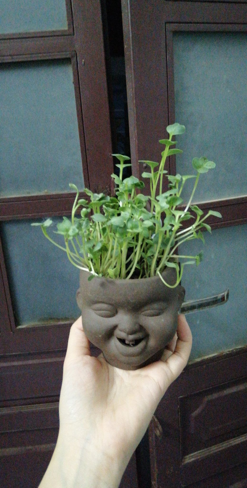 CHẬU ĐẤT NUNG TÍ SÚN (NHỎ)