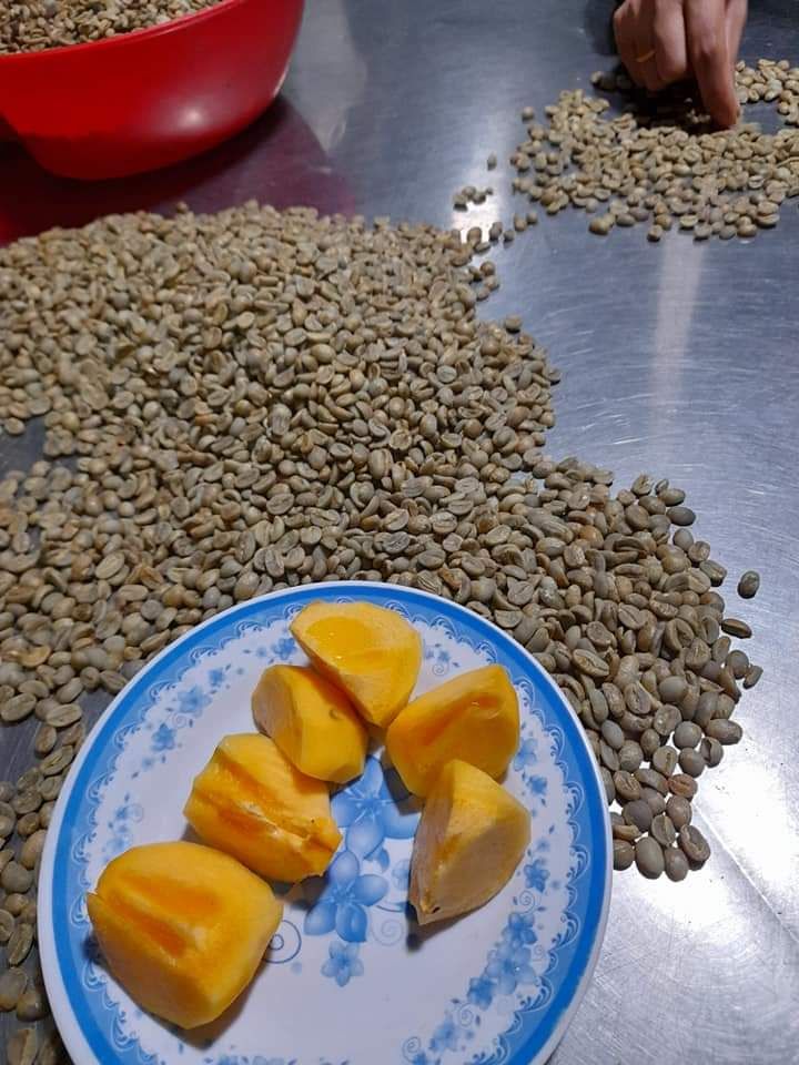 cà phê nguyên hạt robusta và aribica dùng pha máy