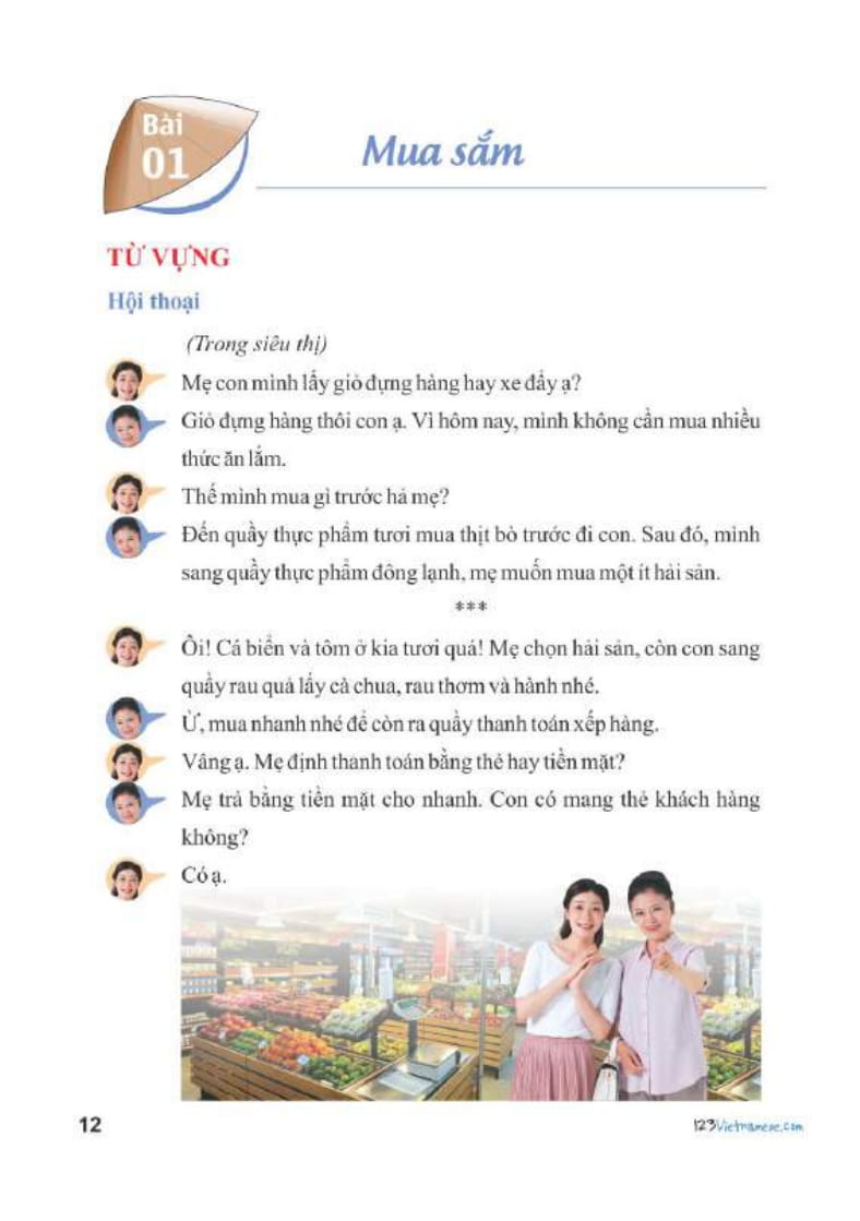 Tiếng Việt 123 (Giáo trình tiếng Việt dành cho người nước ngoài) Trình độ B1