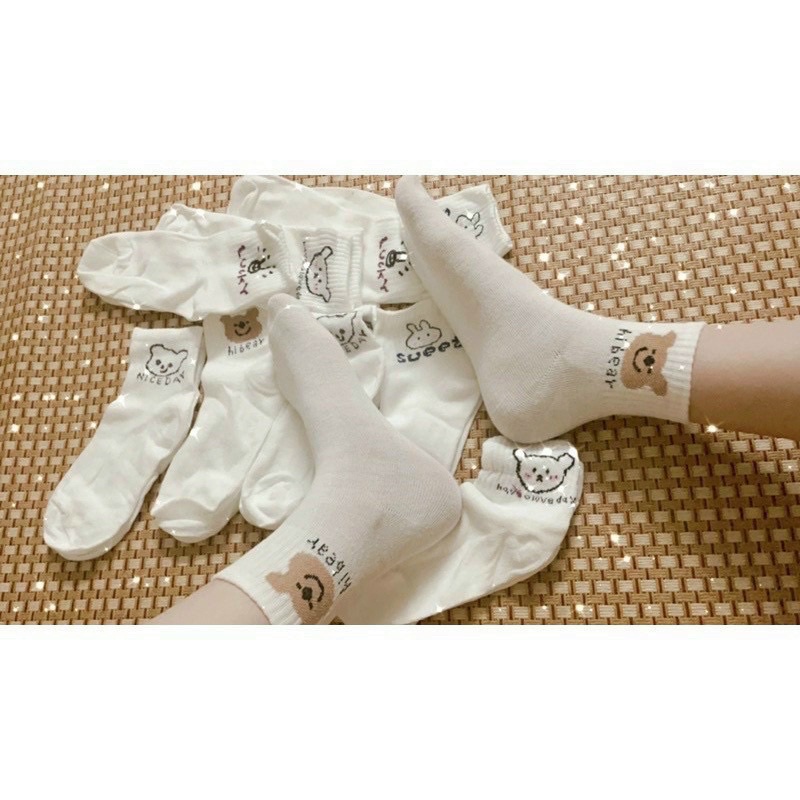 [FreeshipMAX] Set 10 đôi tất trắng in hình gấu thỏ cute