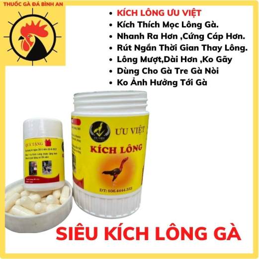 Th uốc kích lông Ưu Việt cho gà chọi làm tăng nhanh quá trình thay lông, lông óng mượt