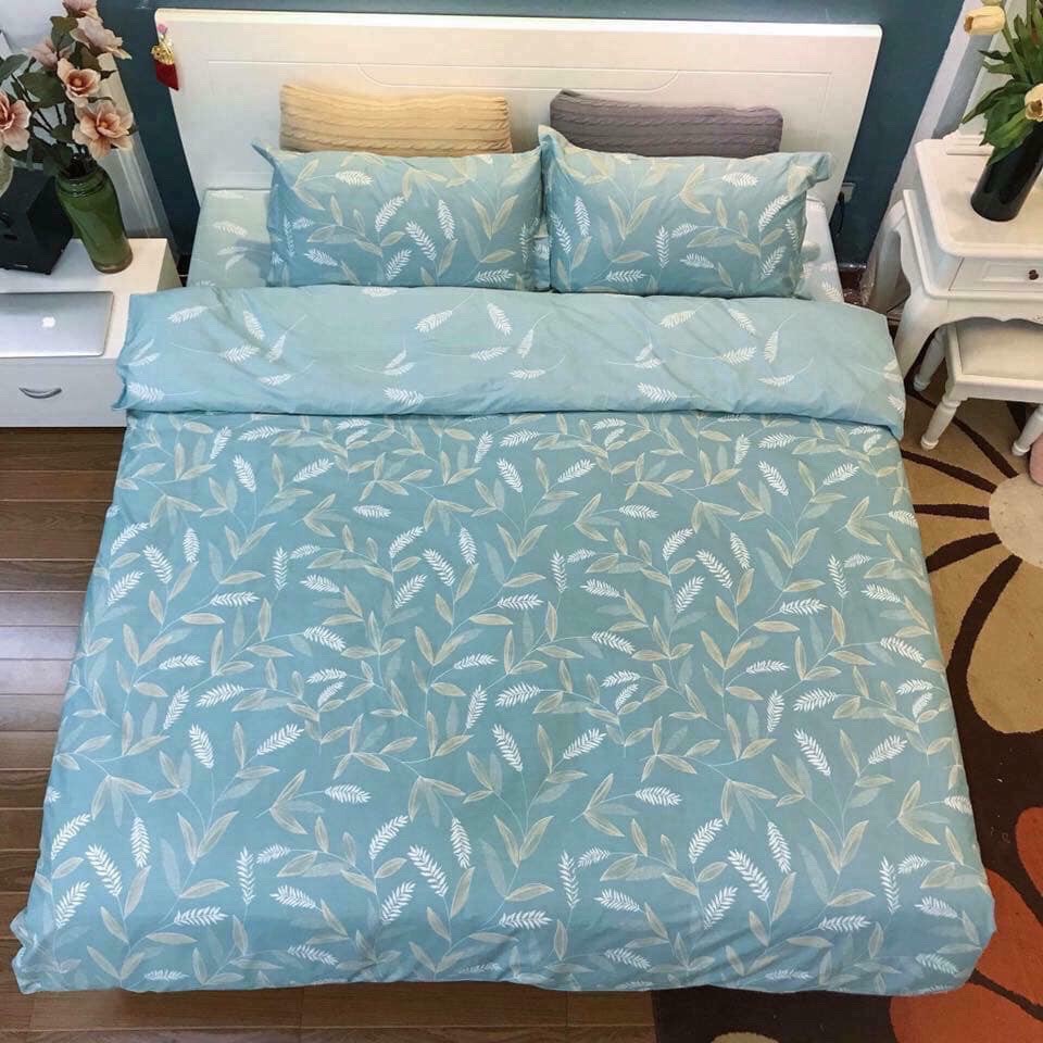 Bộ ga cotton 4 món Hàn Quốc