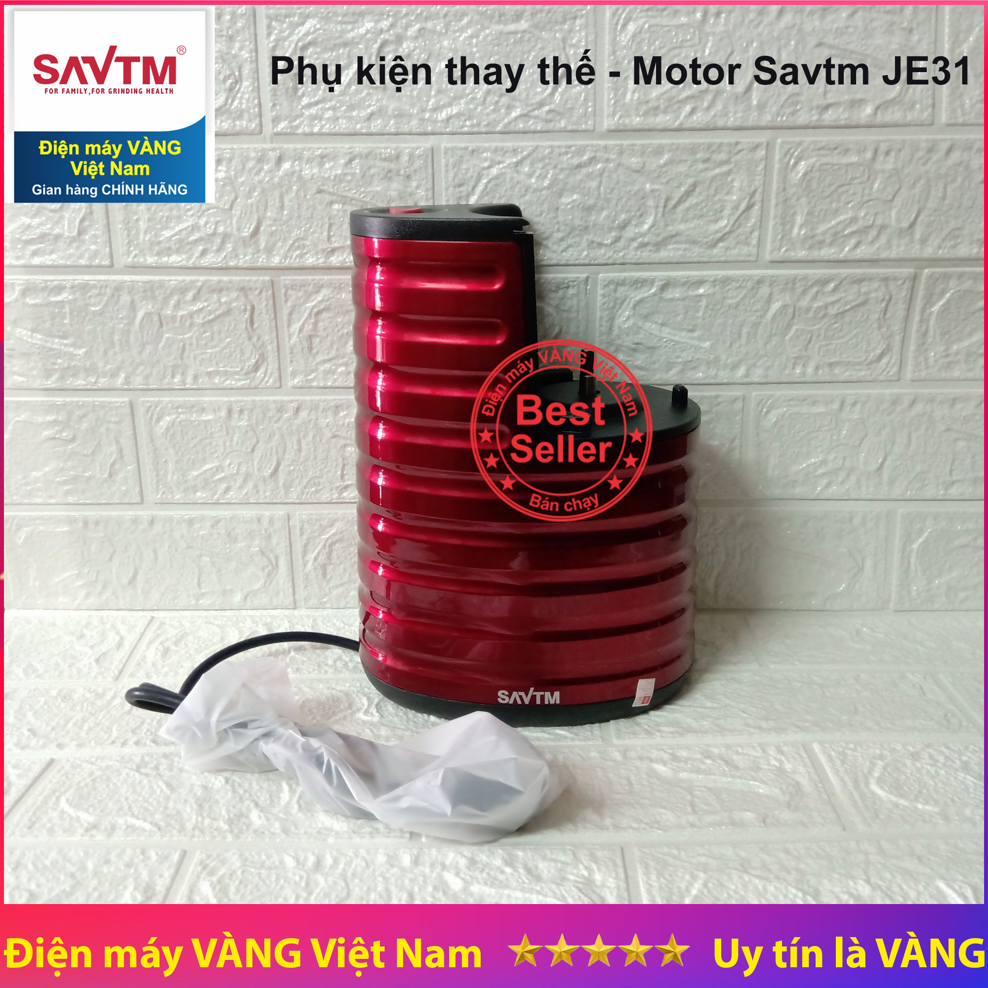 Motor 250W máy ép chậm Savtm JE31