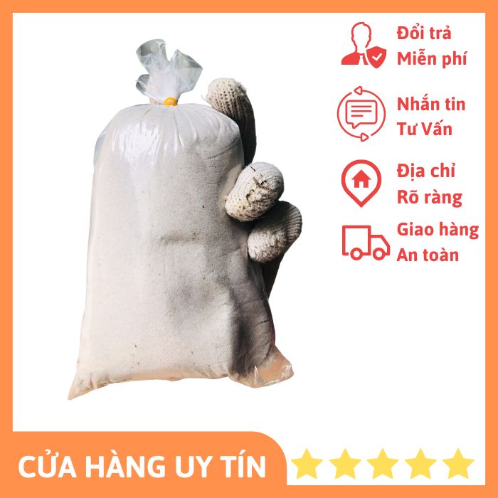 Cát trắng lót nền (trang trí bể cá)