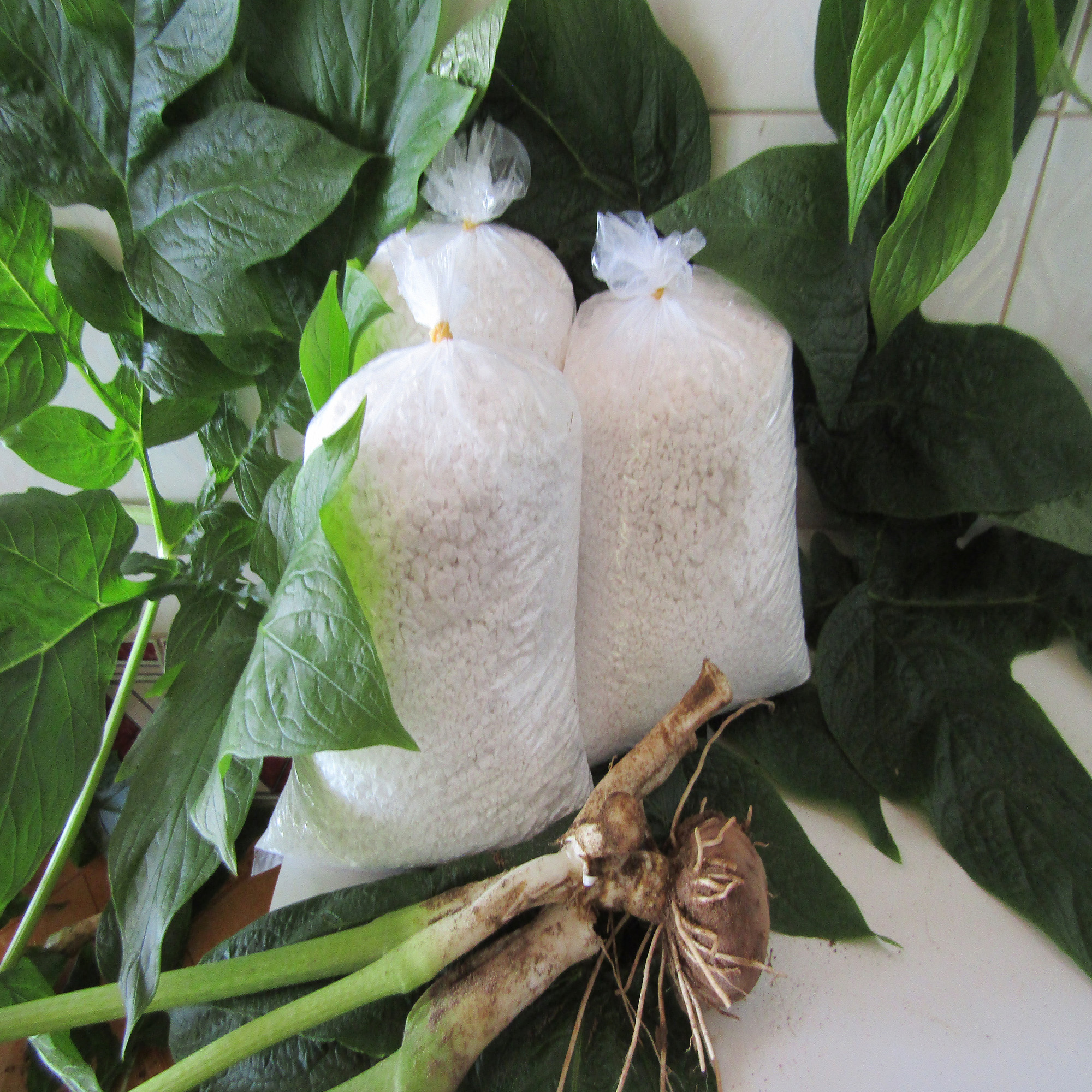 Bột nưa nguyên chất (combo 3kg)
