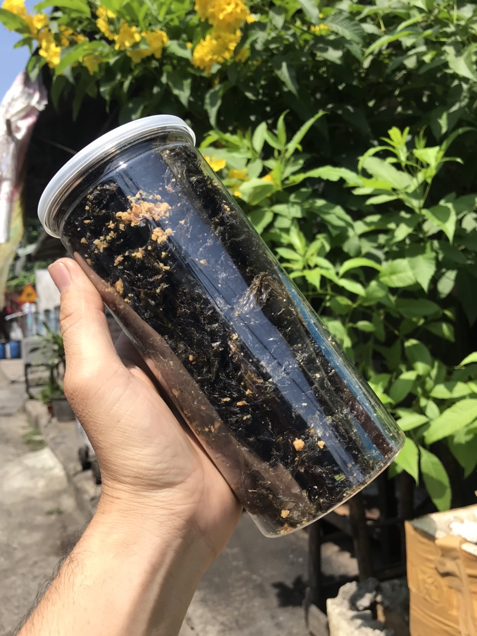 [ HCM ] hũ 150gram Rong biển cháy tỏi
