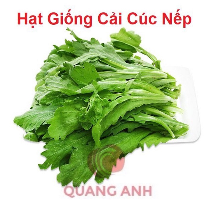 Hạt giống rau cải cúc nếp - 20gr~2500 hạt