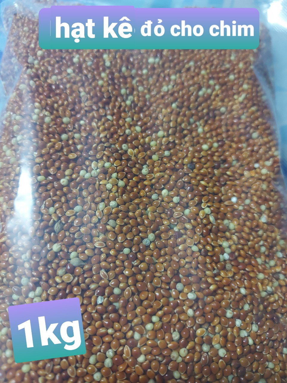 Hạt kê cho chim 1kg