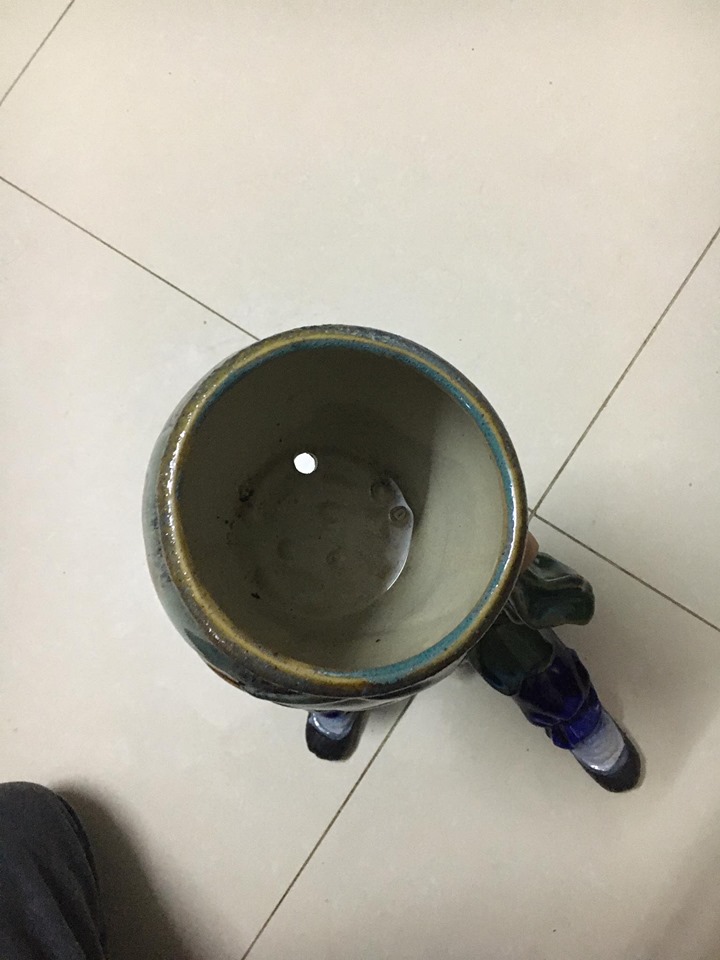 Chậu tượng - Lỗ trí thâm dâng vò