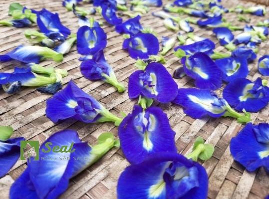 HOA ĐẬU BIẾC KHÔ 20G