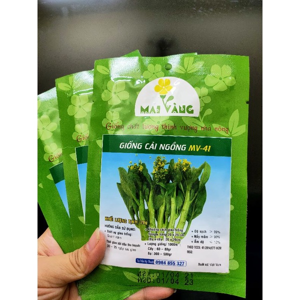 [HCM][Gói 20g] Hạt giống rau cải ngồng
