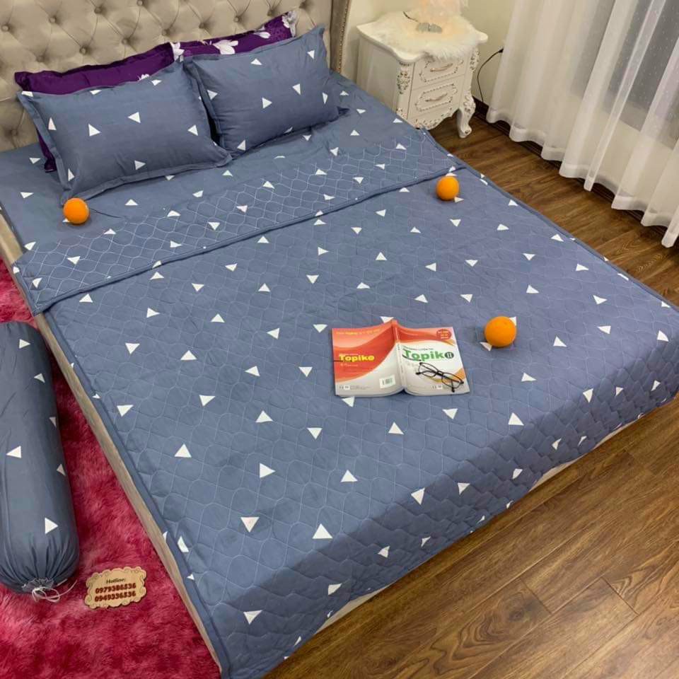 Bộ chăn ga gối hè thu Cotton poly| Bộ mền trần bông, drap, vỏ gối cotton poly đẹp đủ size 1m6x2m, 1m8x2m [LVnâu]
