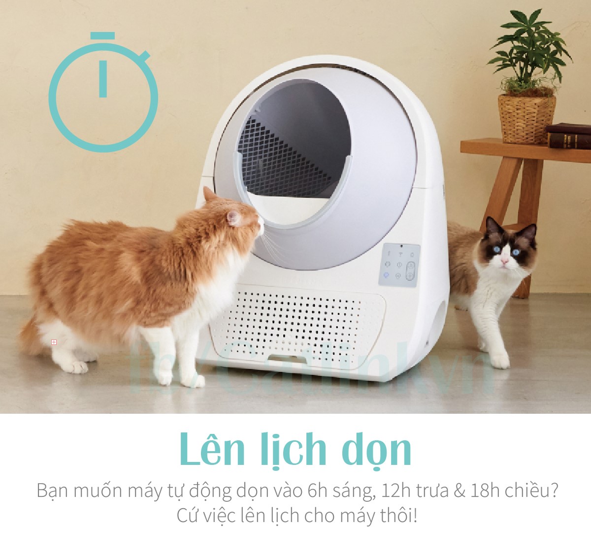Nhà vệ sinh tự dọn cho mèo CATLINK