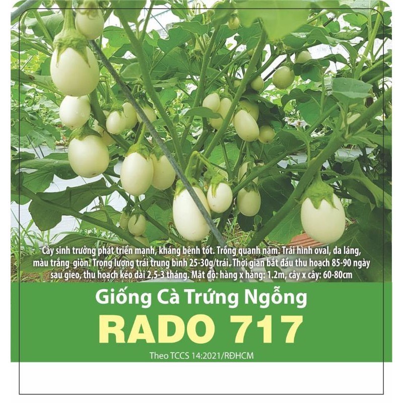 Hạt giống cà trứng ngỗng rado 717 rd gói 0.5gr