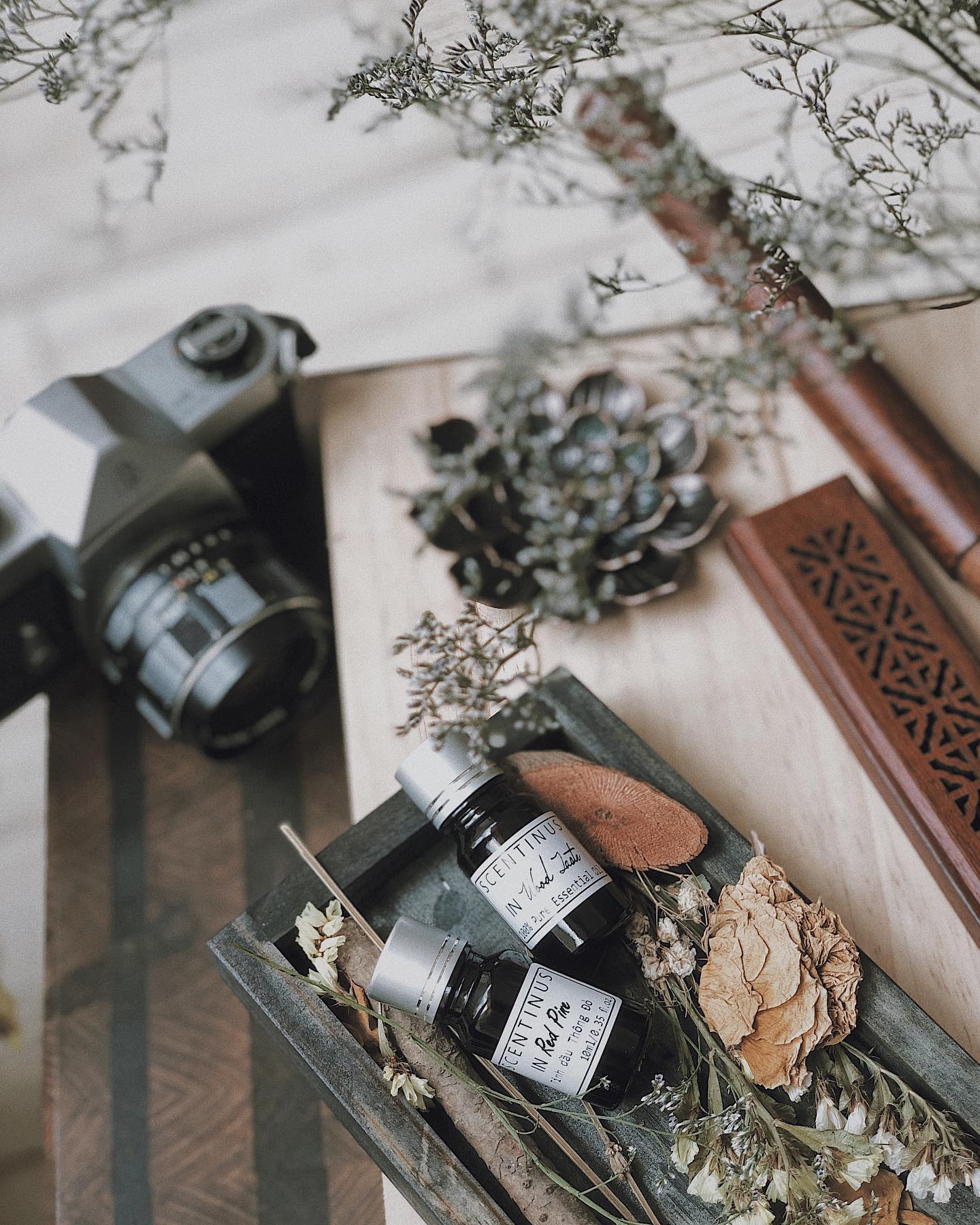TINH DẦU IN WOOD TASTE