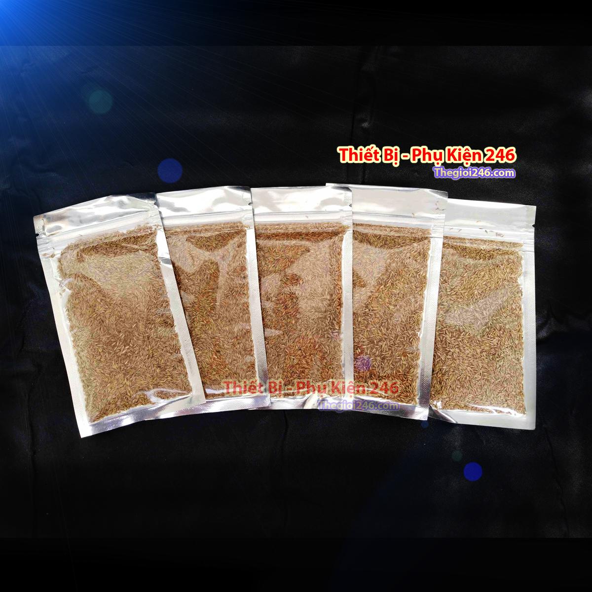 Hạt giống thủy sinh Cỏ ngưu mao chiên