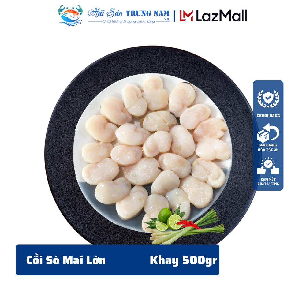 Cồi Sò Mai Lớn Đặc Biệt Khay 500gr-1KG