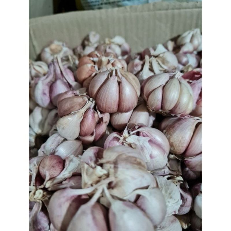 Tỏi tím đà lạt hàng loại 1