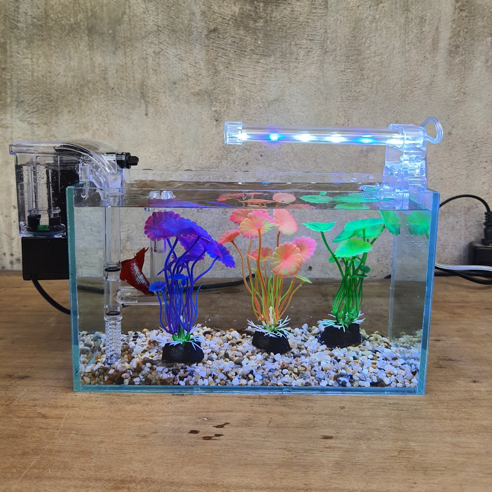 Bể cá mini 24 cm với 5 món (bể 24, sỏi nền, máy lọc, 3 cây nhựa mini, led 4w)
