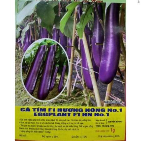 HẠT CÀ TÍM DÀI F1 THÁI LAN - GÓI 1 GRAM