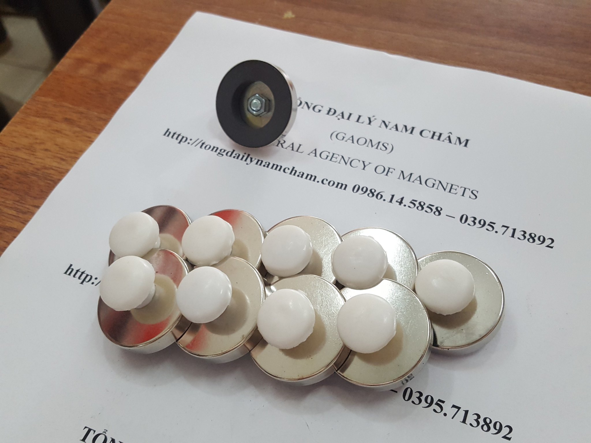 Nam châm đính bảng D32, có núm trắng- 10 cái