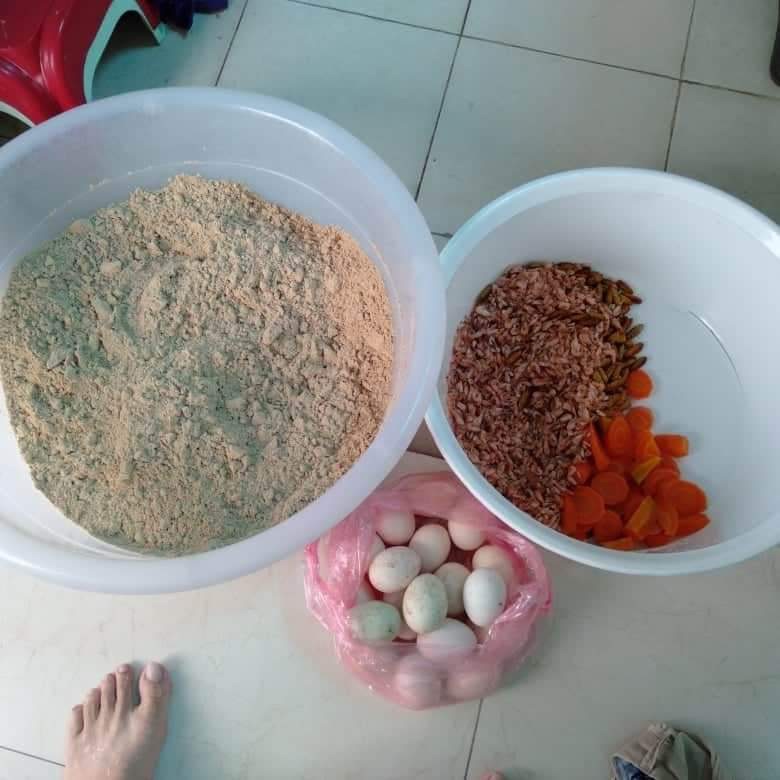 [HCM]Cám chào mào hảo hảo