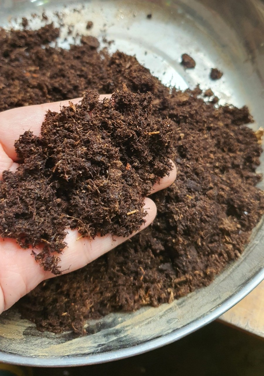 500g Peatmoss rêu mục than bùn ( Peatman )