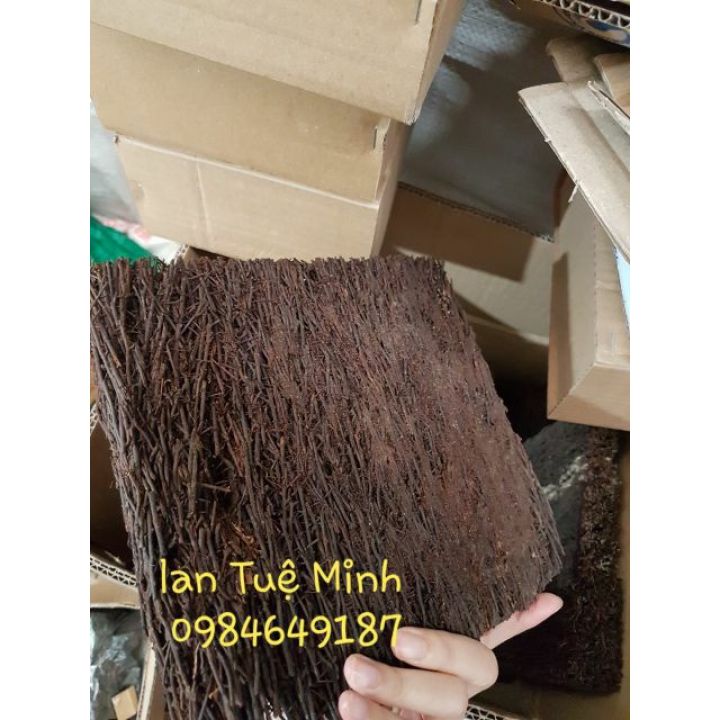 Bảng dớn trồng lan kích thước 20x20x3cm