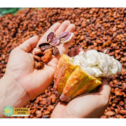 Bột Ca Cao Nguyên Chất Đắk Lắk Hũ 500gr