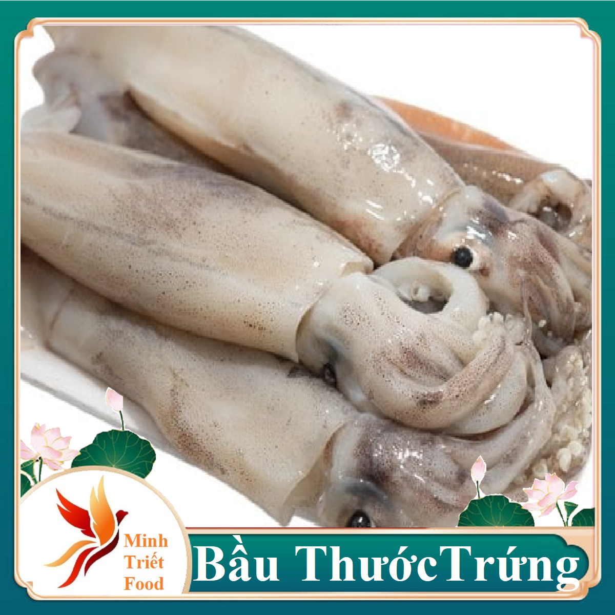 1kg mực ống trứng bầu size đại con siêu to siêu trứng- đặc sản minh triết