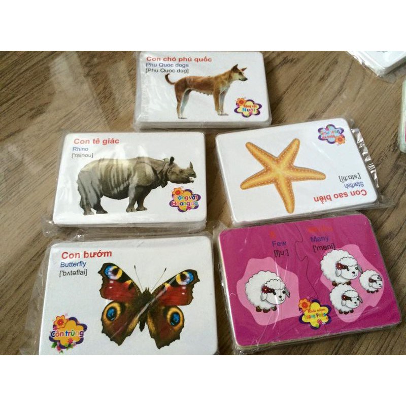 Combo sỉ 6 Bộ thẻ học thông minh