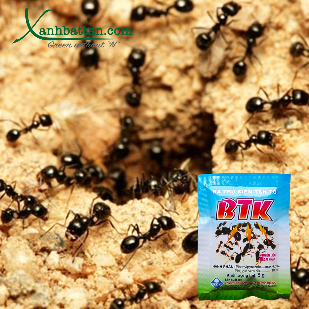 Bả Trừ Kiến Tận Ổ BTK Gói 5 gram