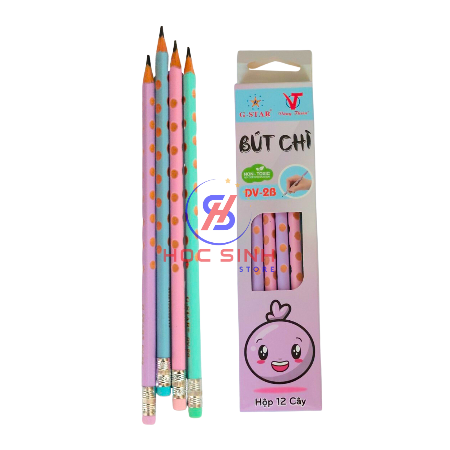Hộp 12 cây bút chì định vị g-star 2b dv-2b