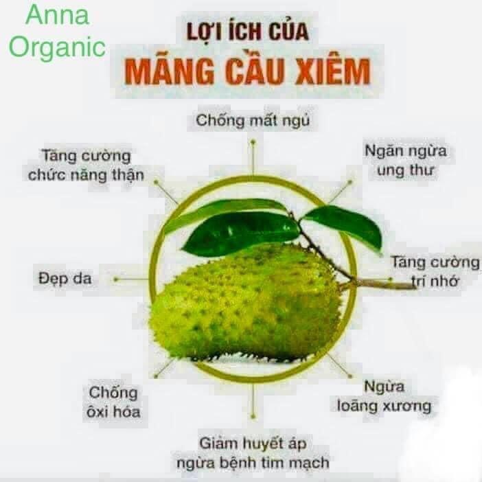 Trà mãng cầu xiêm Anna Organic