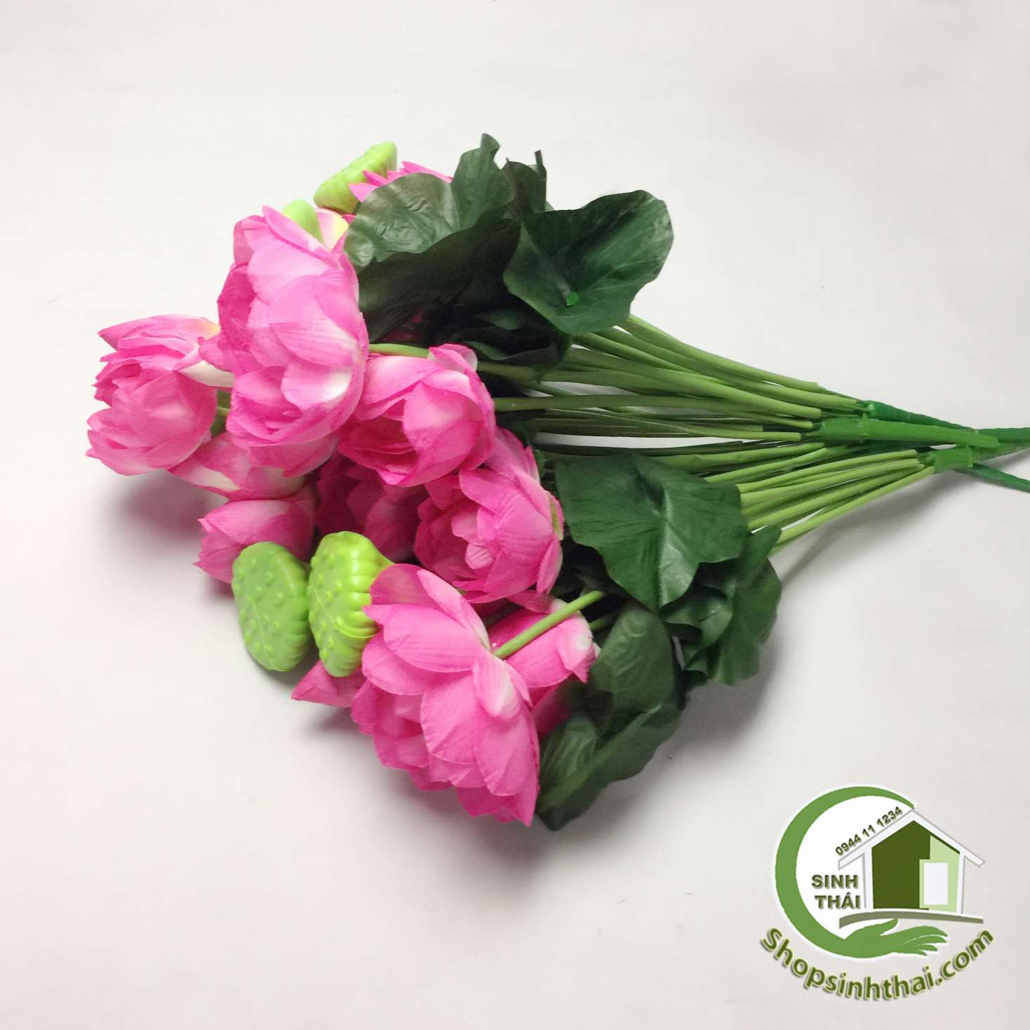 [HCM]Hoa sen giả - bụi sen lớn