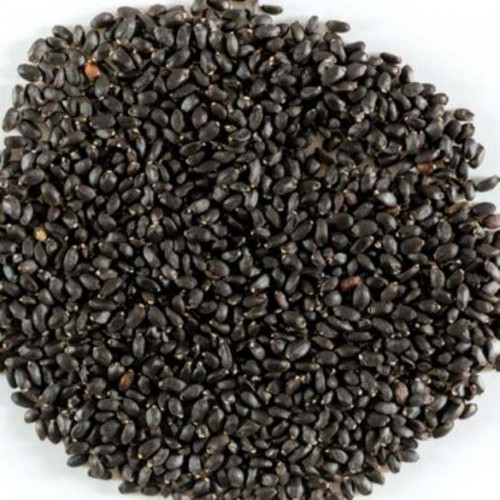 500g Hạt é sạch loại 1 Phan Rang