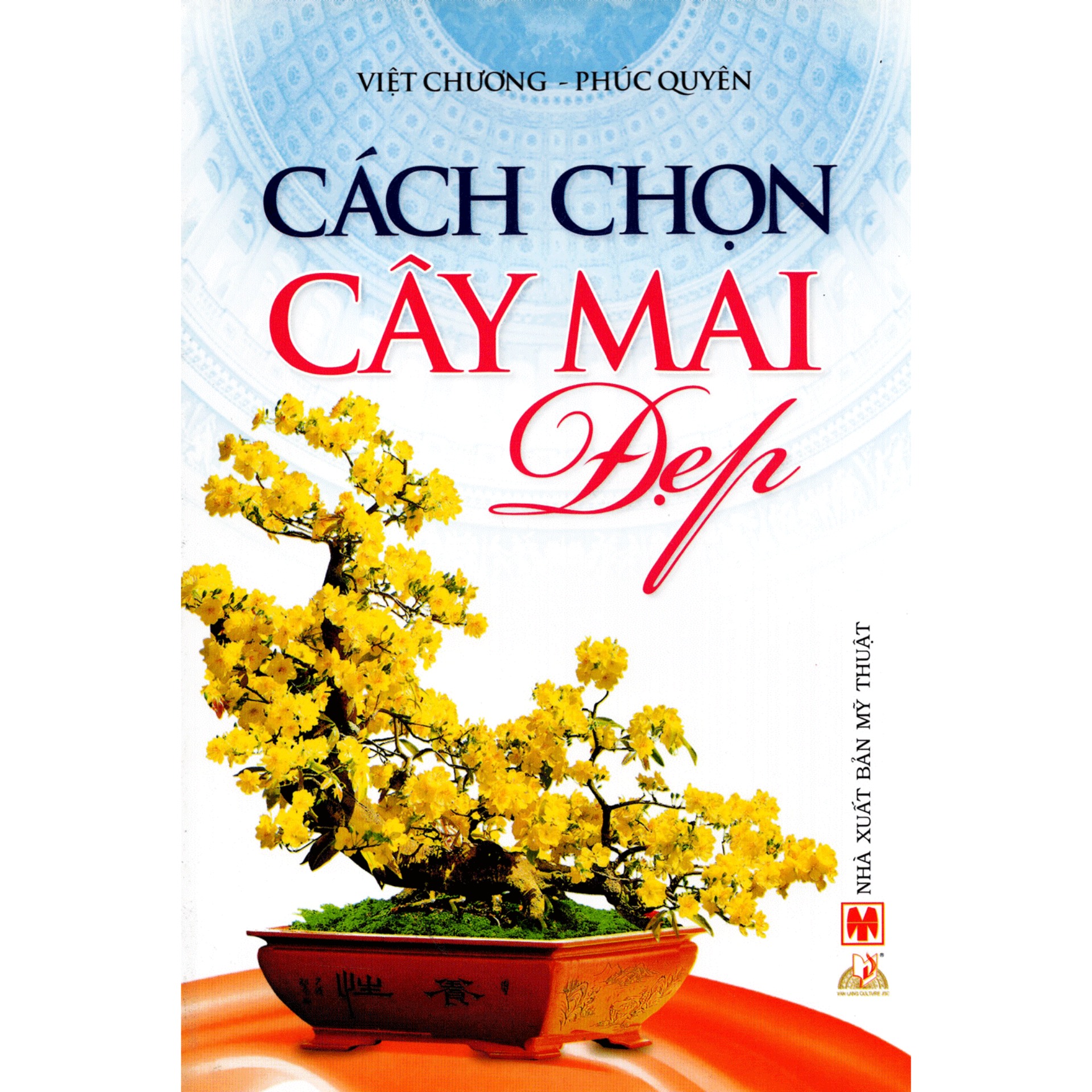 [HCM]Cách Chọn Cây Mai Đẹp