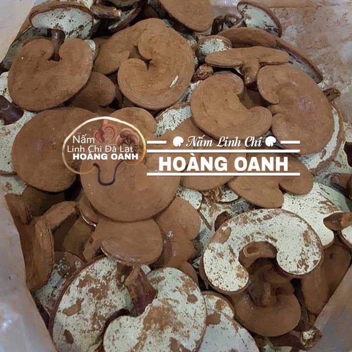 Nấm linh chi Đỏ 1kg (Xích chi Việt Nam nhà trồng)
