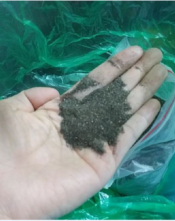 Hạt Giống Cây Nhân Trần - ( cây dược liệu - 200 hạt ) - VTNN2