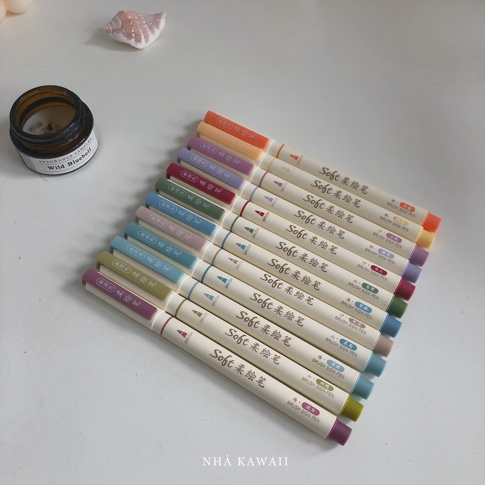 Bút viết calligraphy DS Soft Brush Sign Pen (mẫu mới)