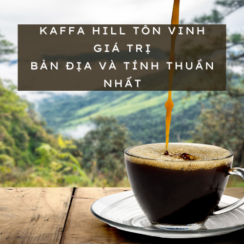 CÀ PHÊ COLD BREW ĐÓNG CHAI - KaffaHill - Kaffa Hill Coffee