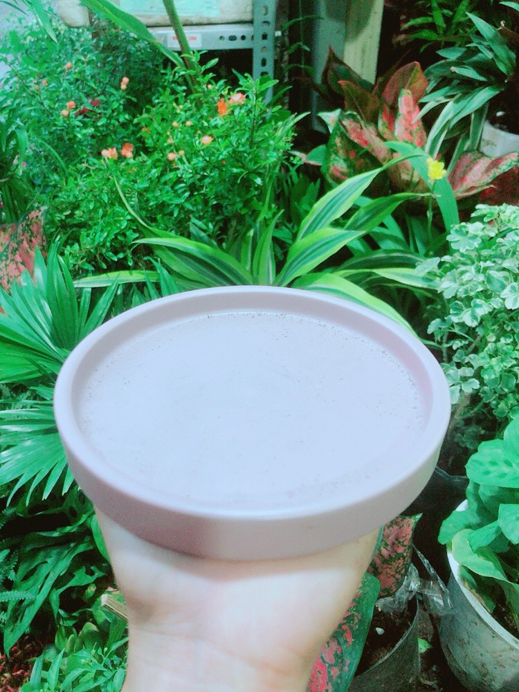 Đĩa lót chậu